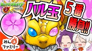 【モンスト ゆっくり実況】新限定キャラを撃ち抜け！！みん汰ファミリーハル玉５番勝負！【みん汰ファミリー】