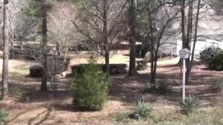 1081 Fairway Ridge Road Greensboro, GA - Auction - Master Bath