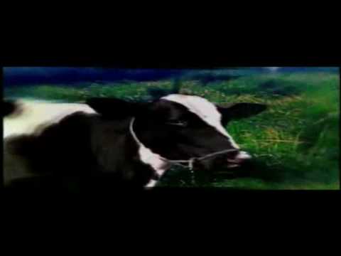 Video thumbnail for Dos Margaritas (Español)