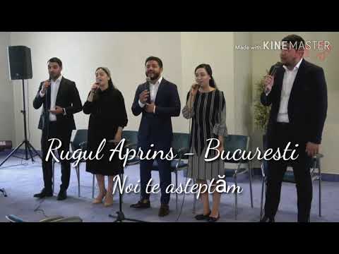 Rugul Aprins"Bucuresti - Noi te asteptăm / Nou 2019/
