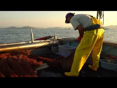 小豆島（土庄町）と漁業