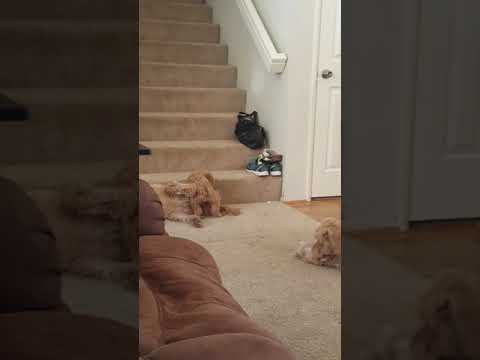 Baby boy playing w mom and grandma