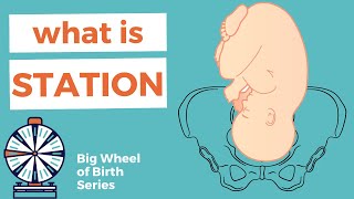 STATION: how to determine station in labor, what does baby dropping mean