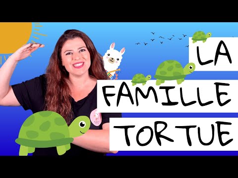 La famille tortue | Comptine | Andreea's Music Box