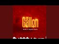 One Gallon