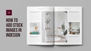 How to add stock photos to a layout directly in Adobe InDesign