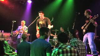 Stroking my cat live.avi