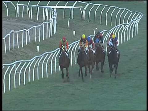 Galoppo 12/12/2015 - 4° corsa