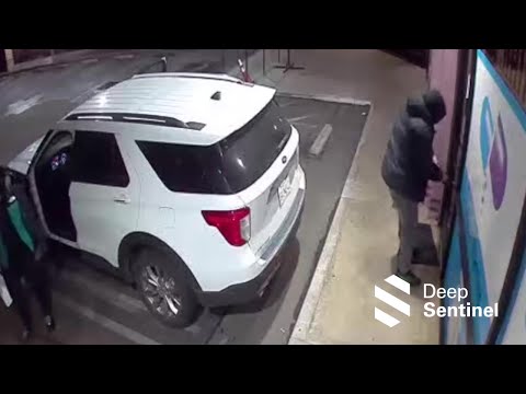 STOPPED by Deep Sentinel #88 - Every Detail, Caught on Camera