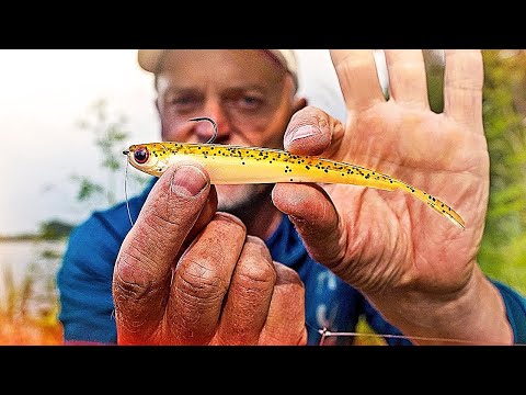 How to catch fish with the drop-shot rig! 10 tips on rigging, lure presentation, weight, etc.