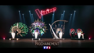 Préparez-vous à vivre la Magie de The Voice prochainement sur TF1 et MYTF1 ✨ | The Voice 2023