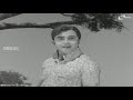 Cheluve Oh Cheluve Song From Kannada Movie Naa Mechchidha Huduga