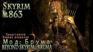 Skyrim s 863 Бардетское задание