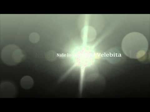 Naše livade ispod Velebita