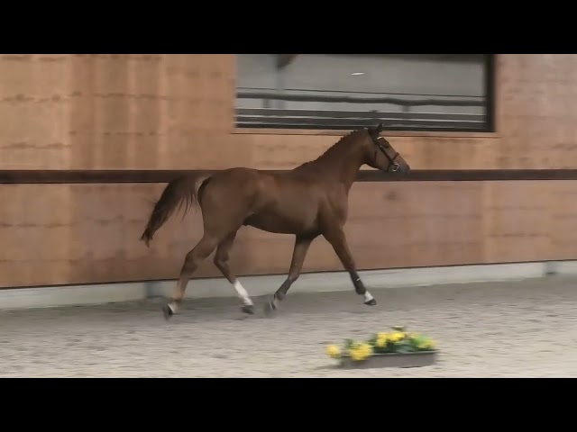 Gaits