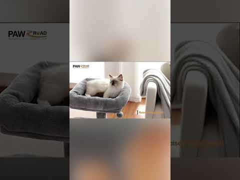 Cat Tree for Small Indoor Cats, Plush Cat Tower with Large Cat Condo, Deep Hammock