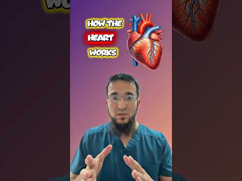 Wie Ihr Herz in 60 Sekunden wirklich funktioniert (Einfache Anleitung zum Blutfluss) #Herzfunktio...