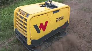 Wacker Neuson DPU 80R LEM670 Zagęszczarka rewersyjna 709 kg FILM plate compactor for sale - Image 4 | Machineryline GB Wacker Neuson DPU 80R LEM670 Zagęszczarka rewersyjna 709 kg FILM plate compactor | Image 4 - Machineryline