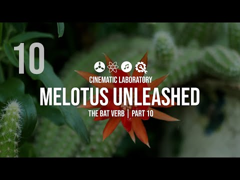 Melotus Versio Unleashed | The Bat Verb | Episode 10