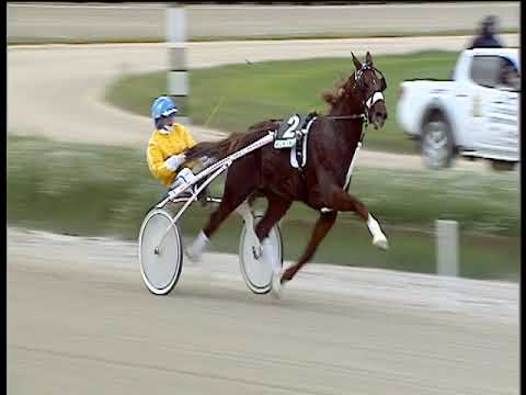 Trotto 23/11/2018 - 1ª corsa