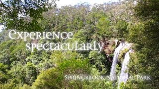 preview picture of video 'Springbrook National Park, Gold Coast, Queensland'