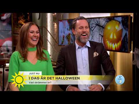 Axel Pileby: "Jag är livrädd för katter" - Nyhetsmorgon (TV4)