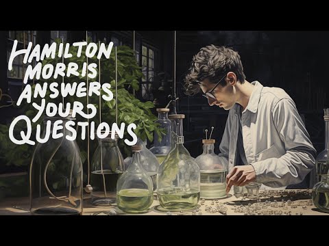 Hamilton Morris Answers All Your Questions