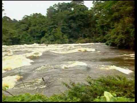 Histoire géologique du Bassin parisien