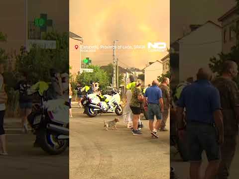 Winds and heat intensify wildfires in Spain’s León province #nocomment #youtubeshorts #shorts