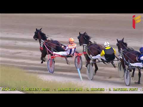 II Corsa del 11 Agosto 2021 - 2 Anni - Metri 1600