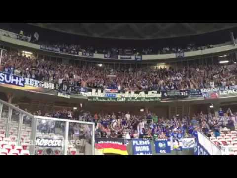 OGC Nizza 0:1 Schalke 04 - 15.09.2016 Schalke Fans