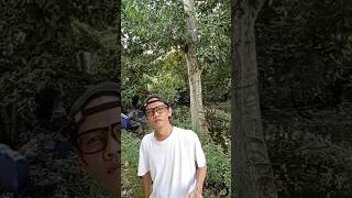 Download lagu Bantu subcrebnya sahabat.. #dangdut #music mp3 Download lagu Bantu subcrebnya sahabat.. #dangdut #music mp3