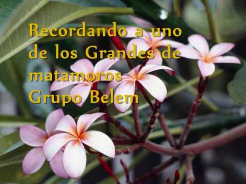 Las Paginas de Amor Grupo Belem
