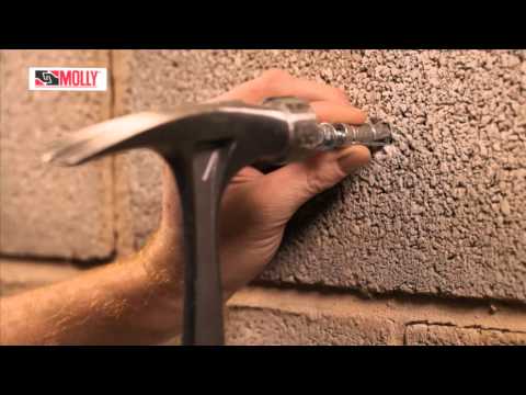 Boulon à expansion MOLLY