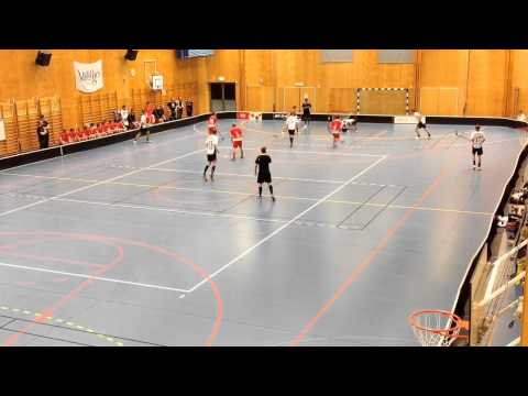 IBF Göteborg vs Danska innebandy landslaget.