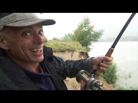 The biggest  wels catfish caught by a fisherman!! CREATIVE THINGS