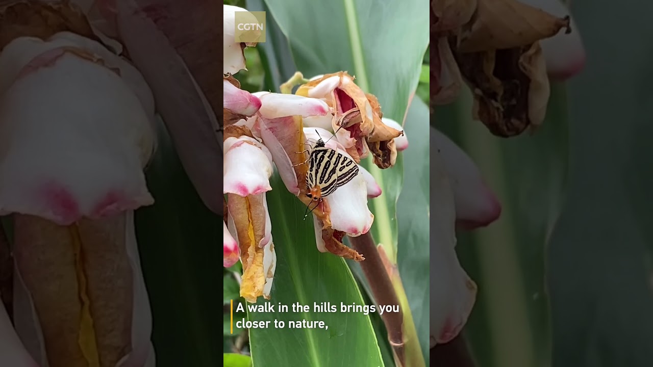 YouTube Short thumbnail