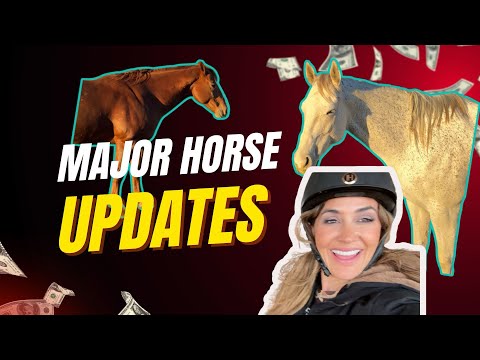 We Need to Talk About Sway & Betty… And This Mystery Horse