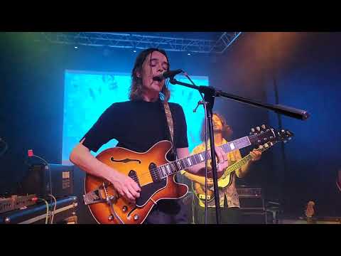 DRUID FLUIDS - 2024 // Into Me I See