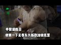 手臂训练,有肌肉的手臂是多么的有魅力!【彭彬】