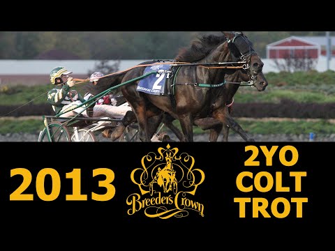 2013 Breeders Crown - Father Patrick - 2CT