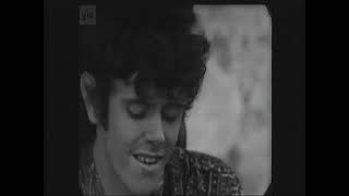 Donovan: Hey Gyp (live 1966)