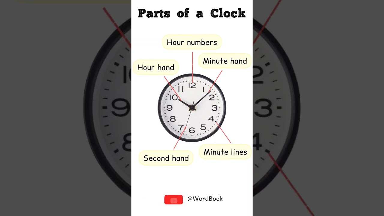 Parts of a Clock 🕥 - English Vocabulary