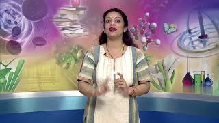 Lesson 20 Psychological Disorders