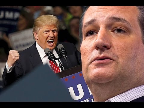 Click to Watch the Trump throws temper tantrum as Cruz takes Colorado WITHOUT A SINGLE VOTE video