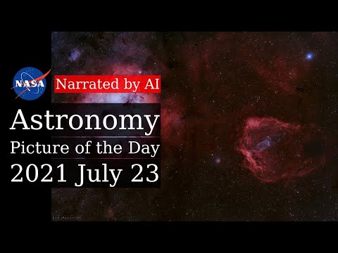 APOD: 2021-07-23 - Elephant, Bat, and Squid (Narrated by Brian)