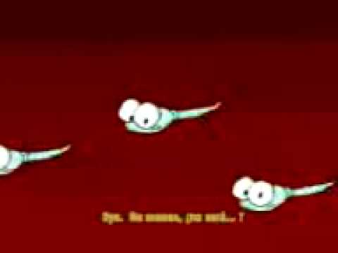 erekcióval a sperma vérében erekció során folyik