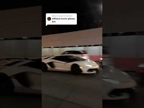 What You Doing When You Hear This? | #gintani #lamborghini #aventadorsvj