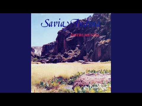 Seleccion Musica - Savia Andina