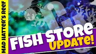 Fish Store and Big Changes